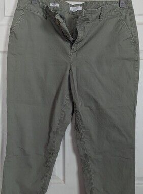 LOFT The Monroe Slim Chino Pants Green Ankle Cropped Stretch Size 18 Petite